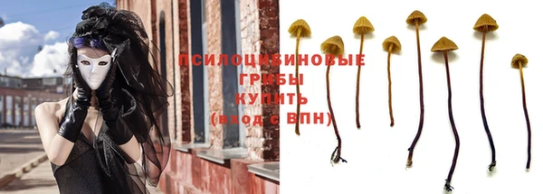 ALPHA-PVP Горнозаводск
